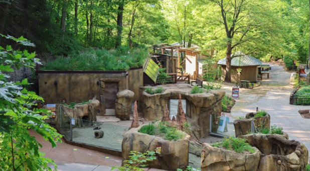 Enclos des suricates au John Ball Zoo Enclos des suricates au John Ball Zoo