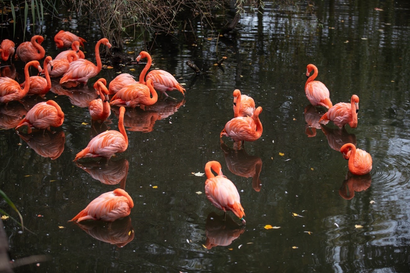 Quelques belles rencontres pendant le parcours Quelques belles rencontres pendant le parcours