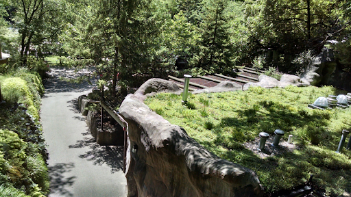 Mur végétal au John Ball Zoo Mur végétal au John Ball Zoo